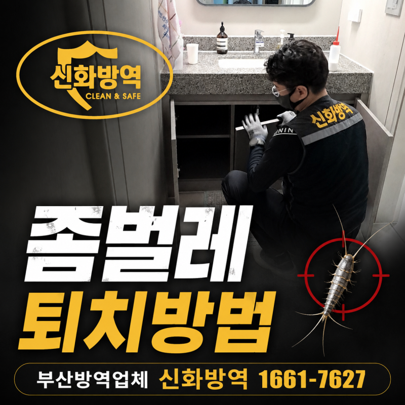 부산 동래 방역업체 장마철 벌레 퇴치 좀벌레 생김새