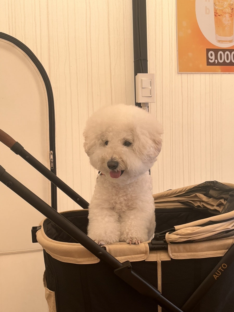 상무끝집 사진 4