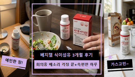 베지웰 식이섬유 3개월 후기 | 회의 중 배 소리 걱정 끝