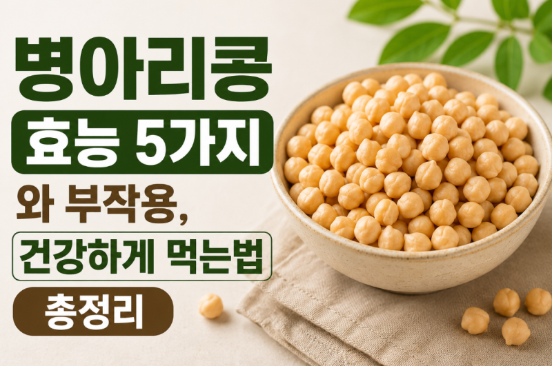 병아리콩 효능 5가지와 부작용, 건강하게 먹는법 총정리