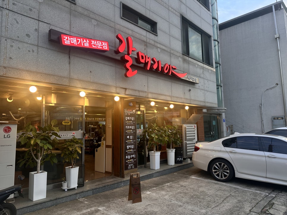 갈매기야 사진 2