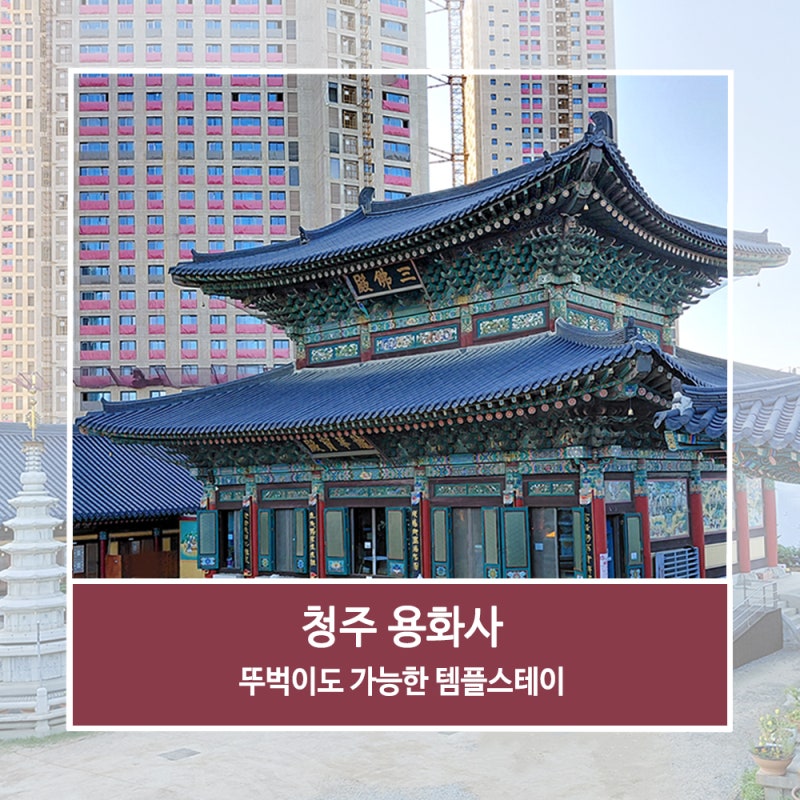 청주 용화사 행복두배 템플스테이 1박 2일 후기 뚜벅이 힐링 여행 추천