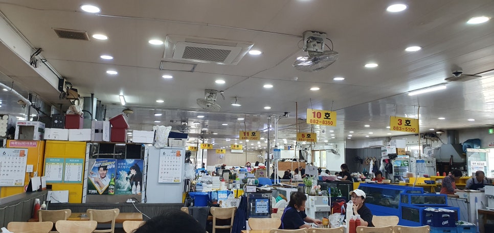 맘모스회센터 9호 사진 1
