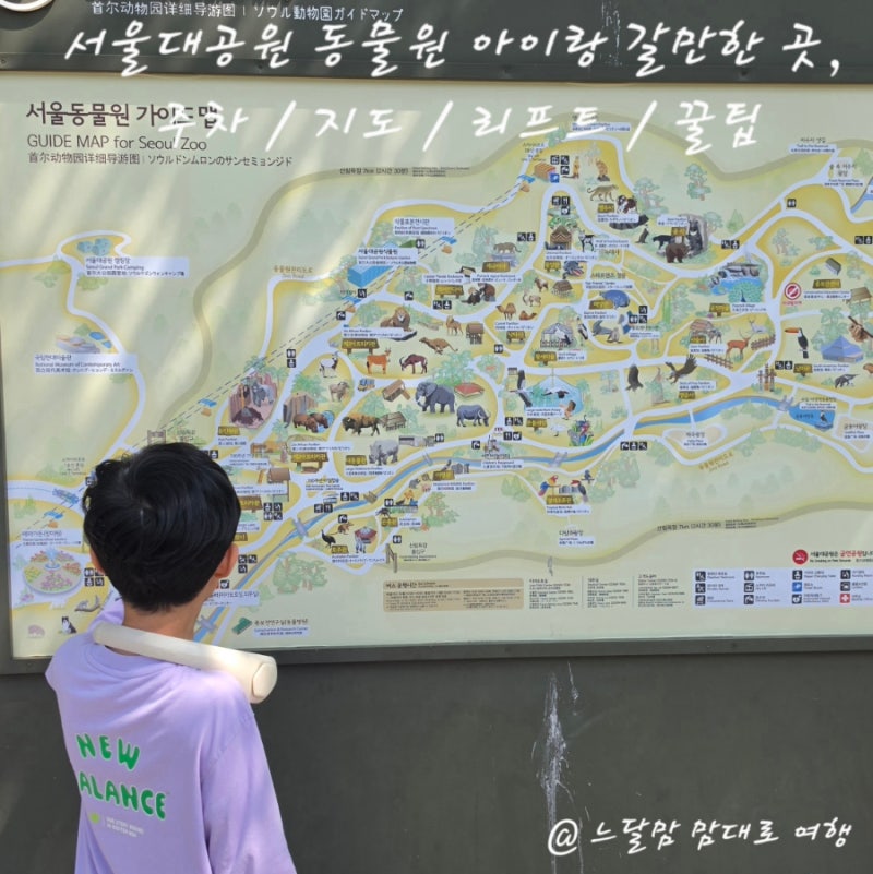 과천 서울대공원 동물원 지도 주차 꿀팁 아이랑 서울 근교 나들이 갈만한 곳