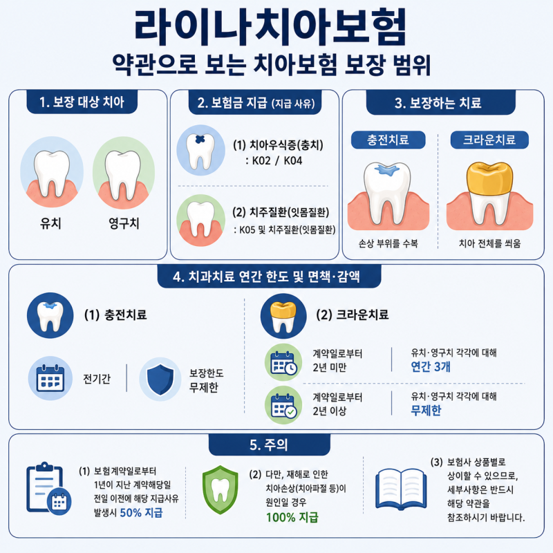 라이나 치아보험 보장내용 총정리｜충전·크라운 치료부터 청구 서류까지