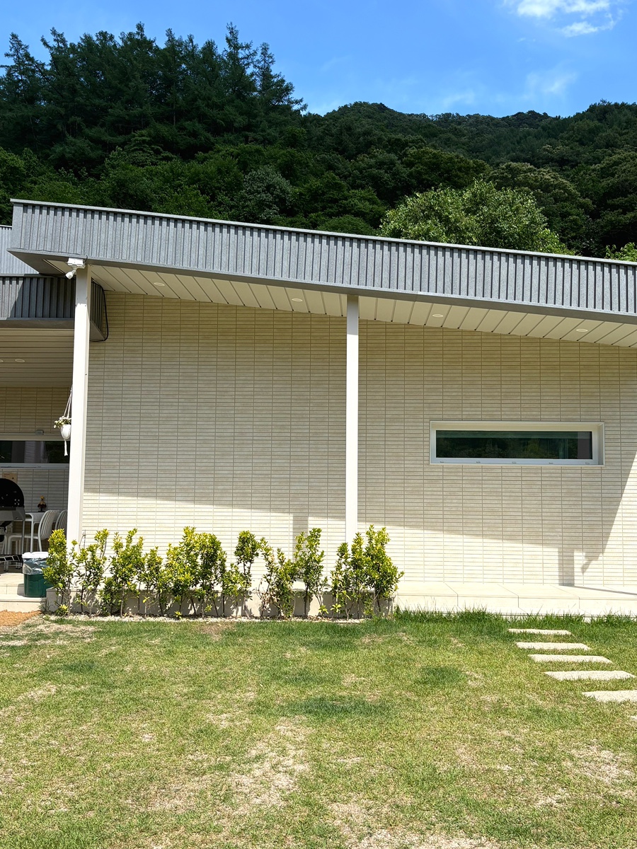 담담채 사진 2