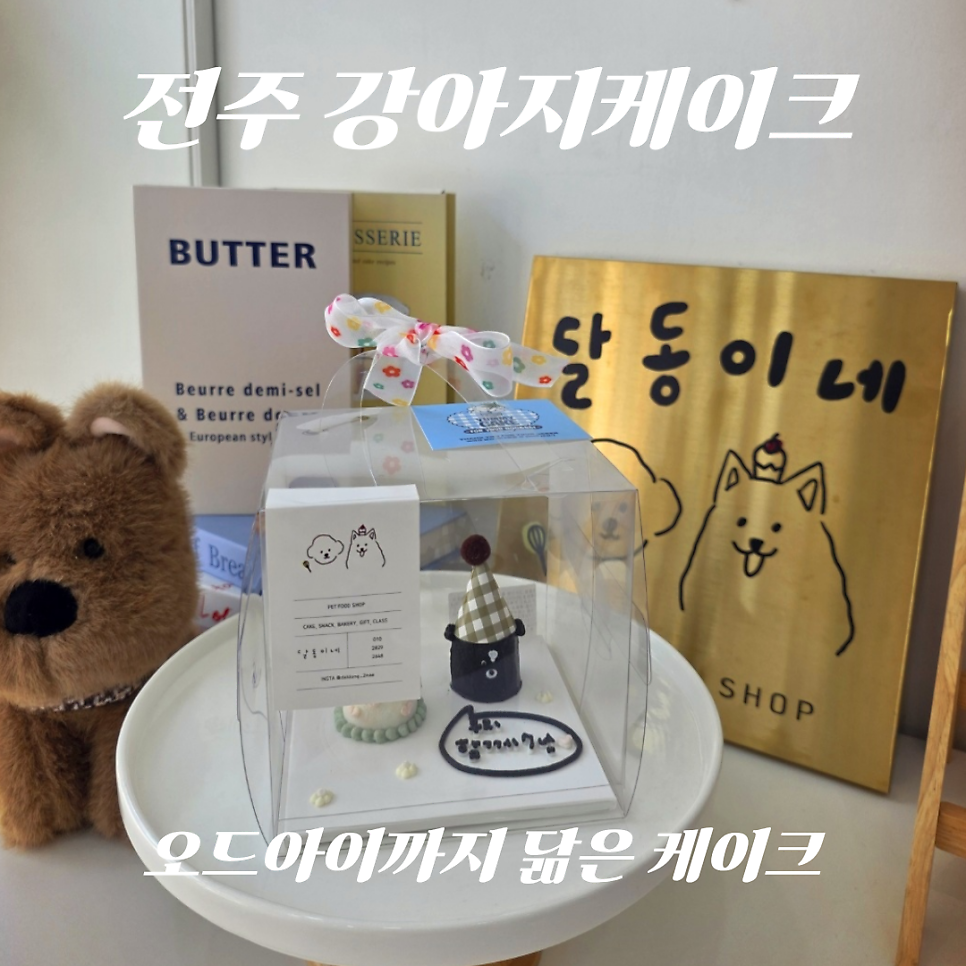 오드아이 사진 1