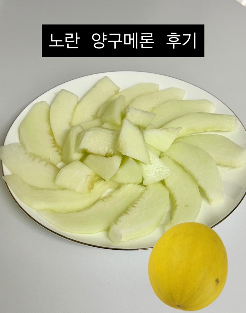 양구메론 먹어본 후기｜달콤한 여름 제철과일 양구멜론이란 손질방법 등