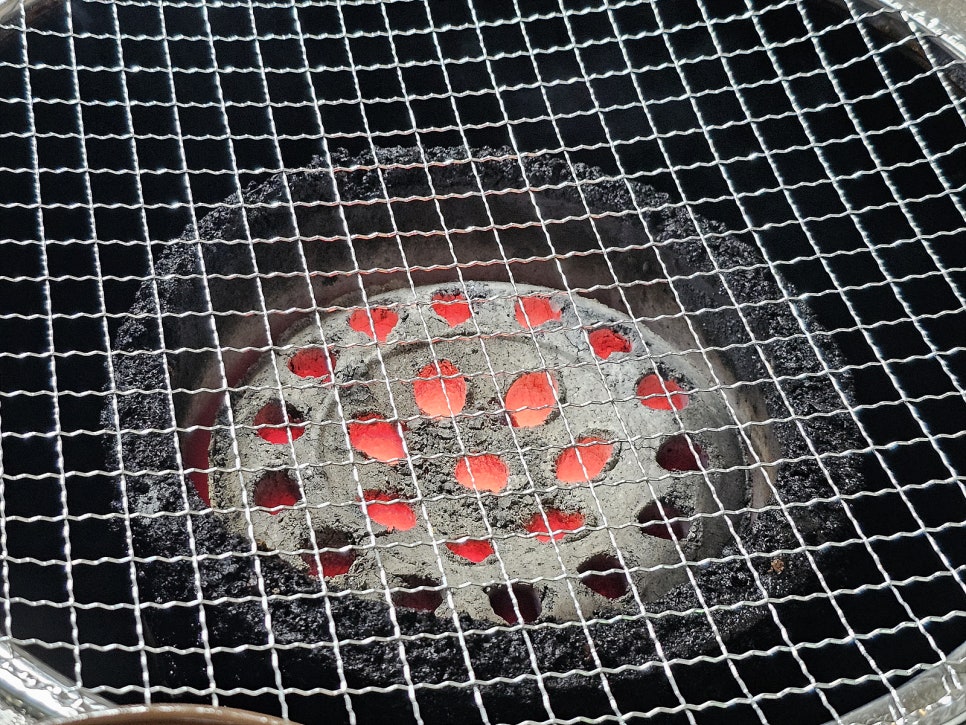 도야지 사진 6