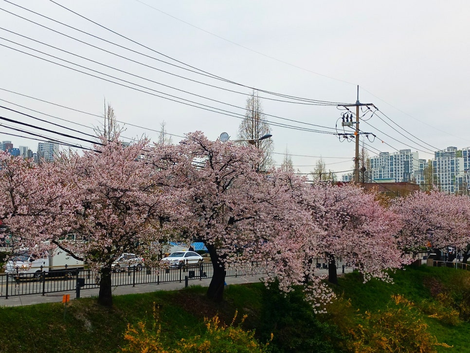 큰바람골산 사진 6