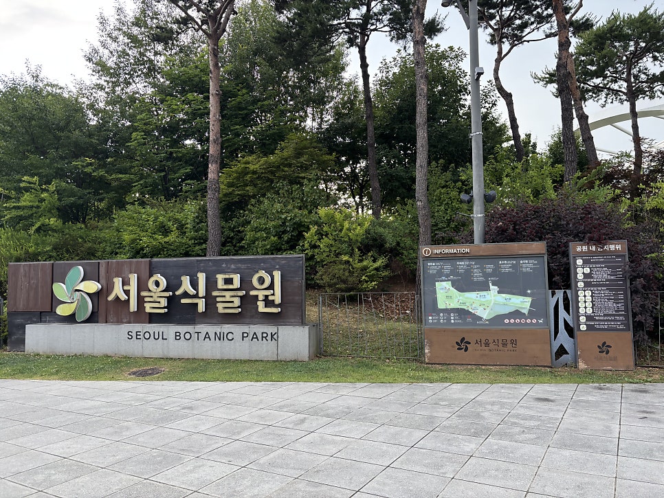 카카두카페 사진 1