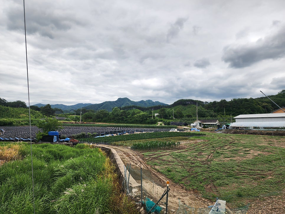 오음산 사진 3