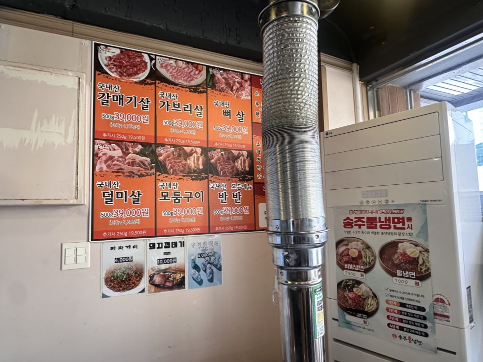 갈매기야 사진 5
