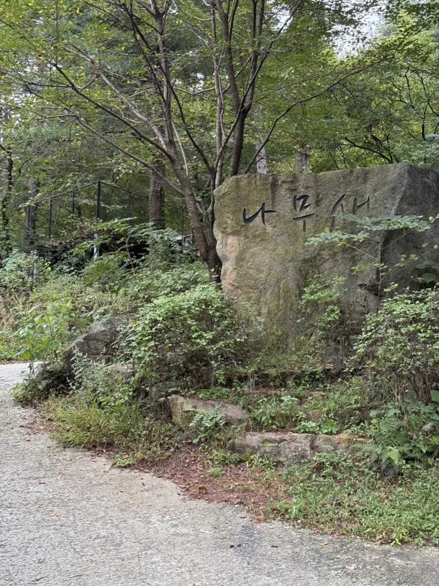 나무새캠핑장 사진 3