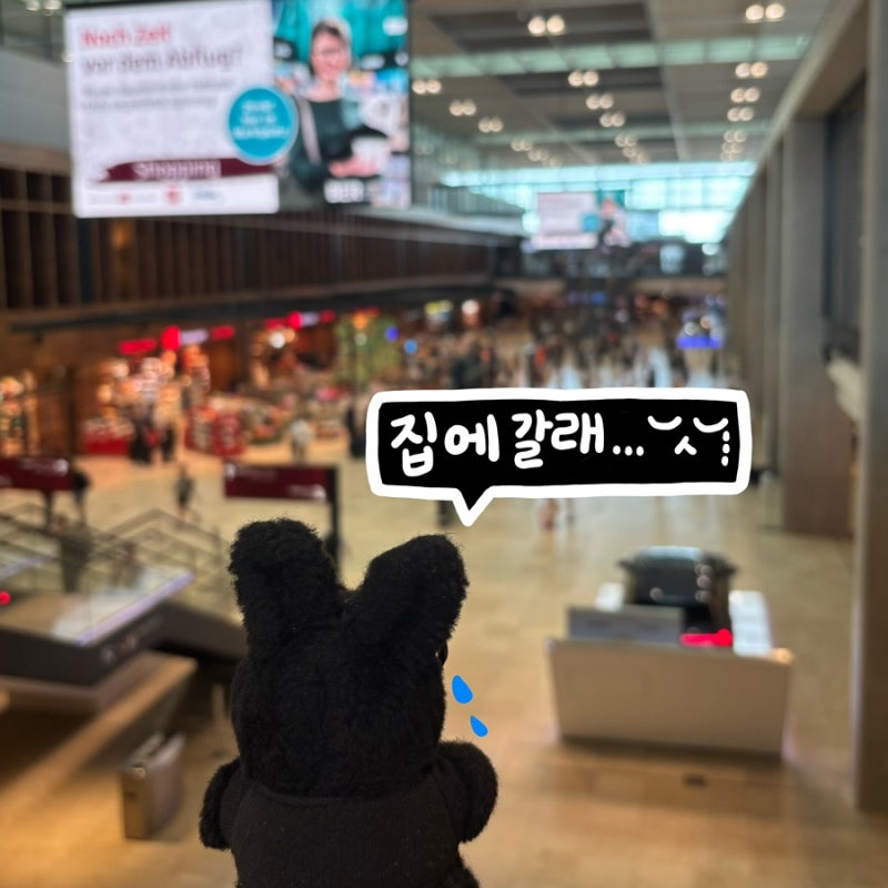 역대급으로 험난했던 환장의 베를린 출국일기 | 분리발권 환승 + 유럽 EES 등록 이슈 + 보안검....