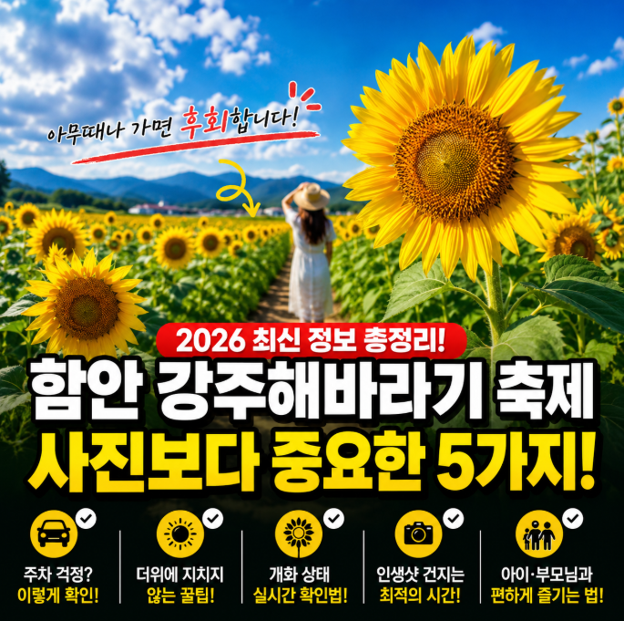 함안 강주해바라기 축제｜인생샷 하나 믿고 갔다가 진짜 지치는 이유