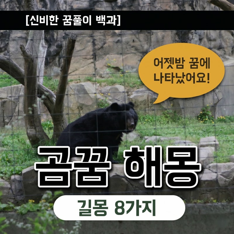 곰꿈 해몽 상황별 길몽 8가지