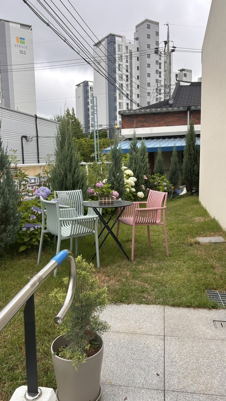 문그로우 사진 2