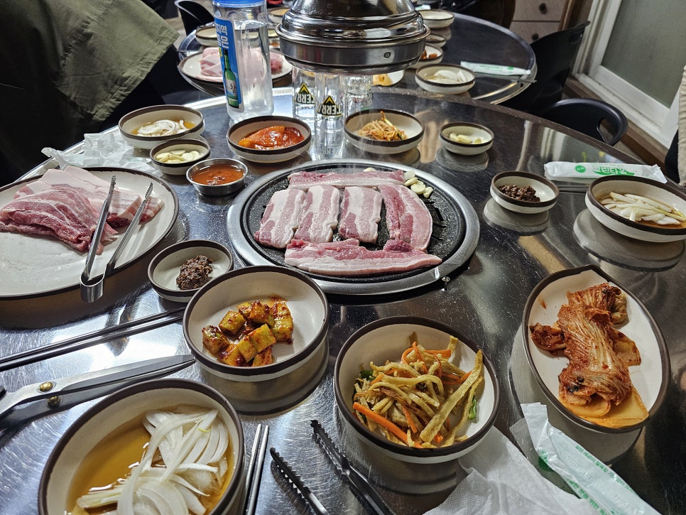 도야지 사진 1
