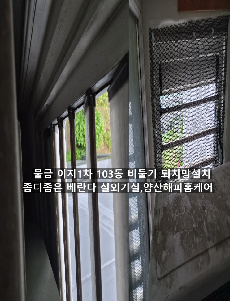  물금 이지더원1차 비둘기퇴치(청소) 베란다에 비둘기가 집짓던현장,비둘기똥은 에어컨냉매가스 누설되는 원인 퇴치망설치완료~양산해피홈케어