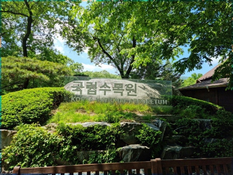 포천 국립수목원 후기｜예약부터 주차까지, 서울 근교 피크닉·데이트 추천
