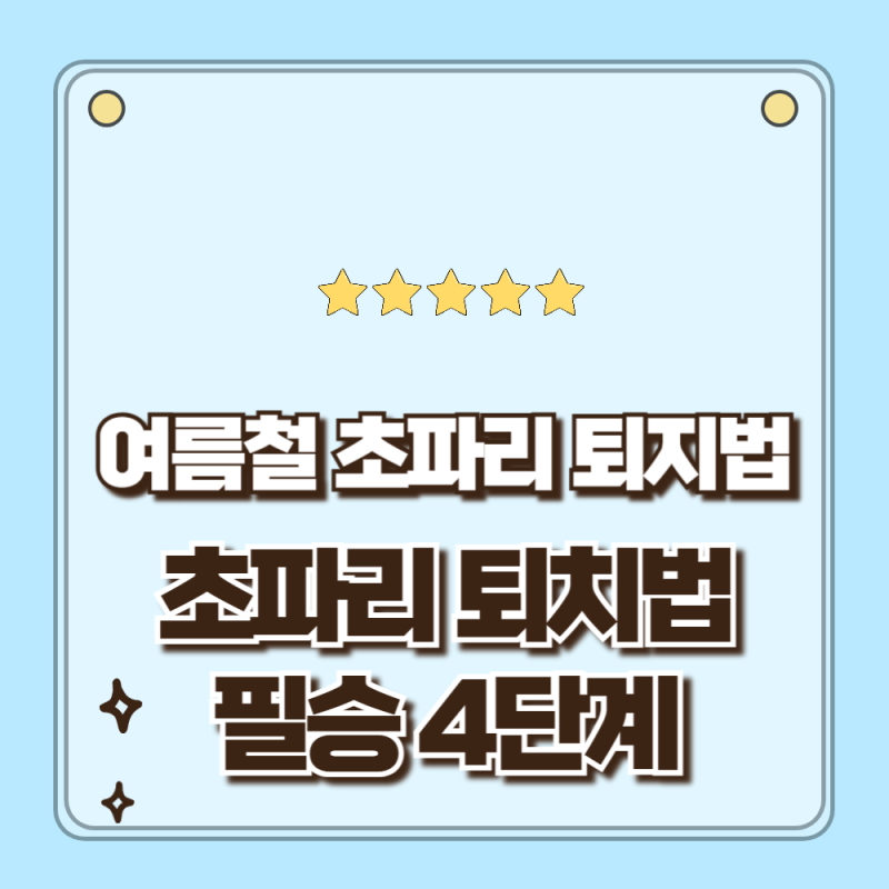 잡고 돌아서면 또 생기는 여름철 초파리 완벽 퇴치방법