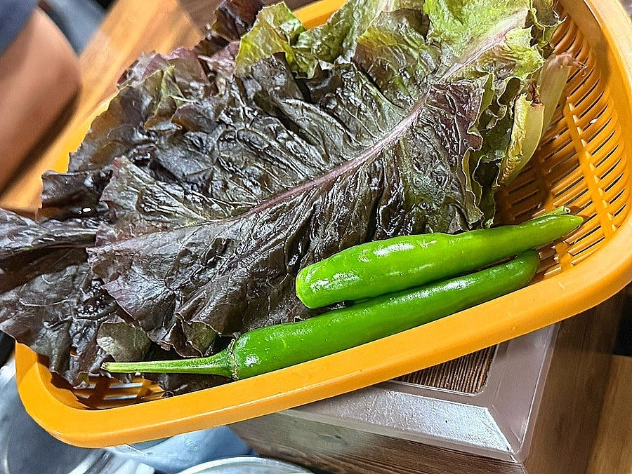 은행나무갈매기 본점 사진 2