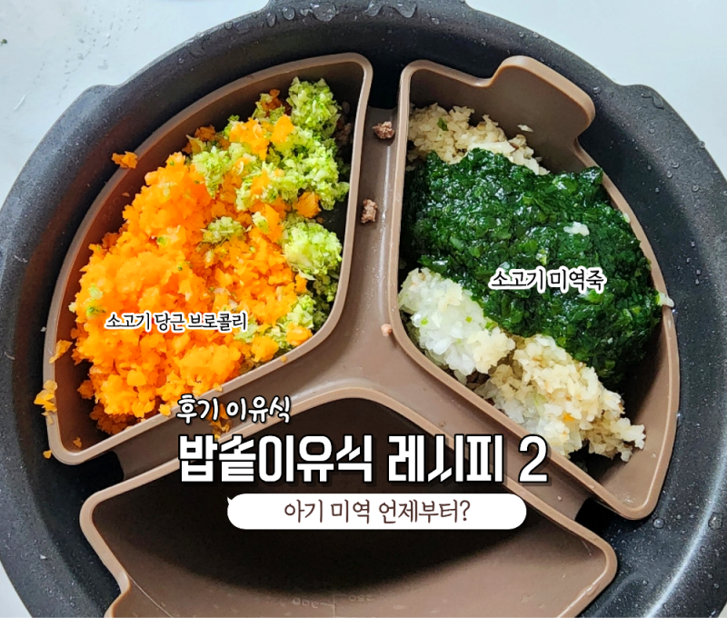밥솥이유식 후기 소고기 레시피_ 아기 소고기 미역죽만들기 언제부터? 재료 궁합