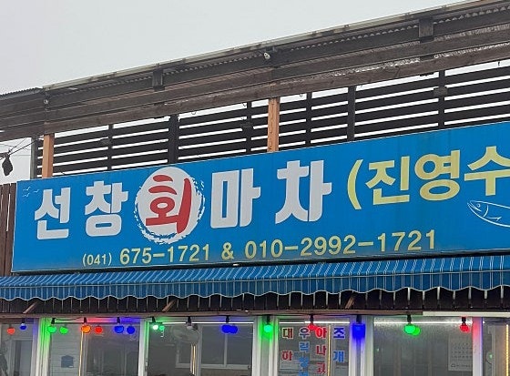 선창회마차 사진 2