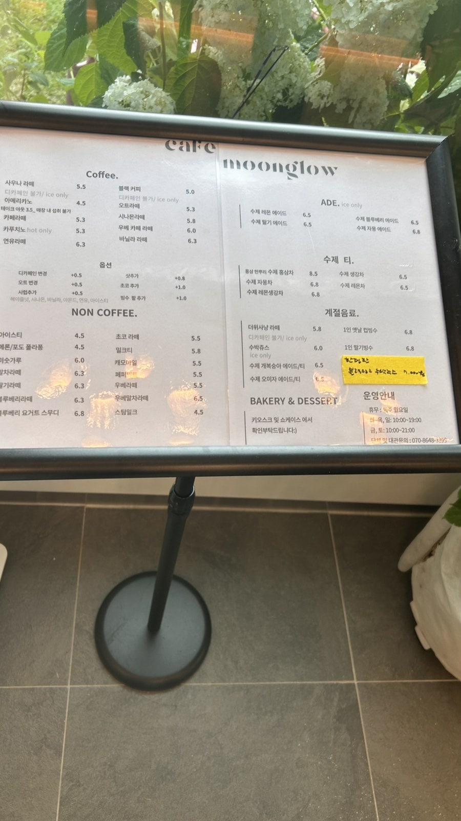 문그로우 사진 6