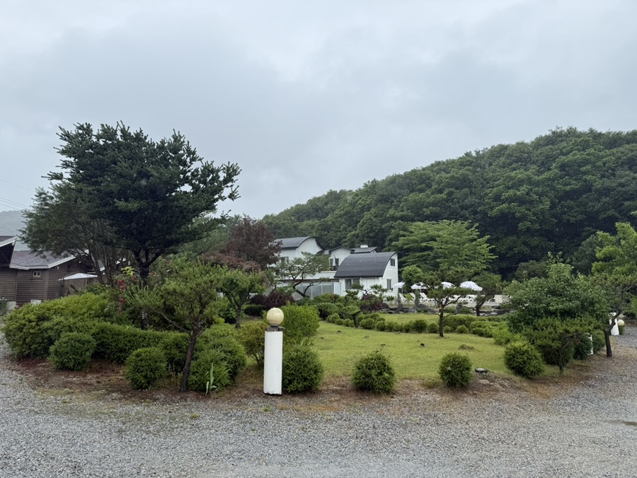 비바테 사진 4