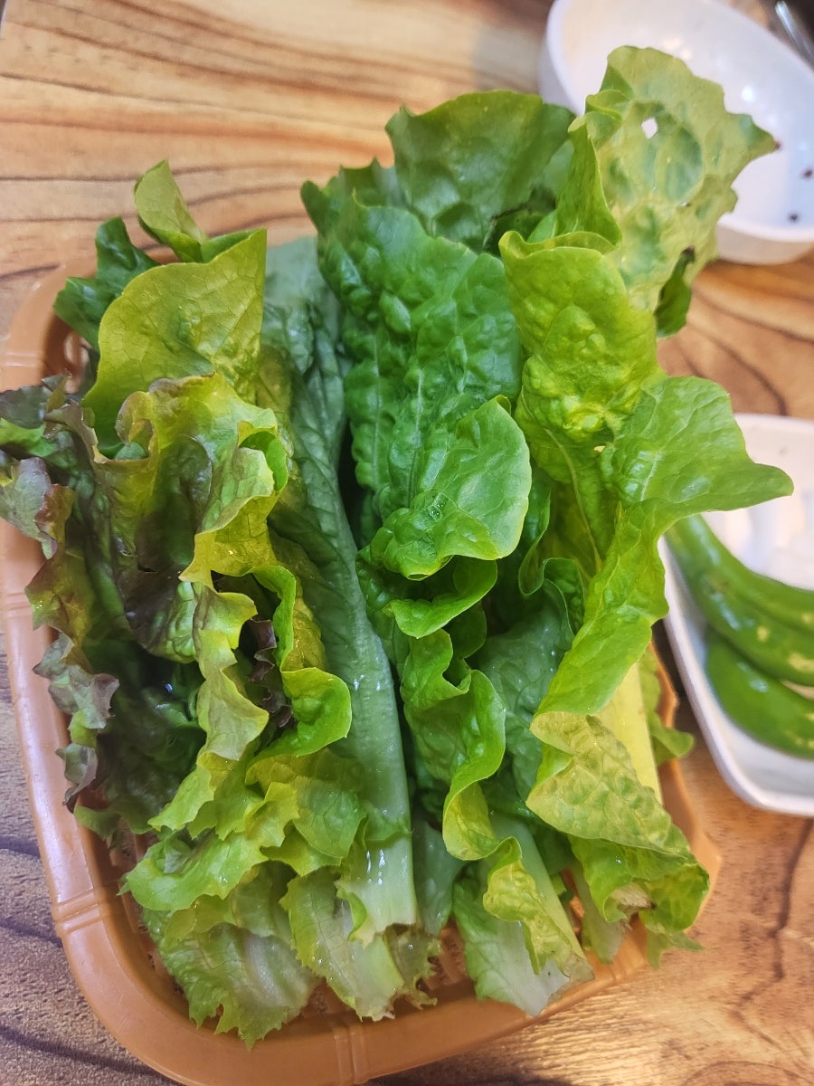 뼈다구싸다구 사진 5