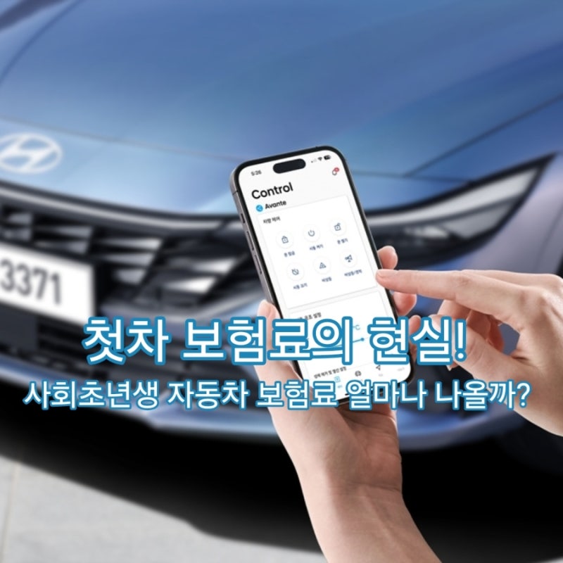 사회초년생 자동차 보험료 얼마나 나올까? 2026년 실제 견적 기준 총정리
