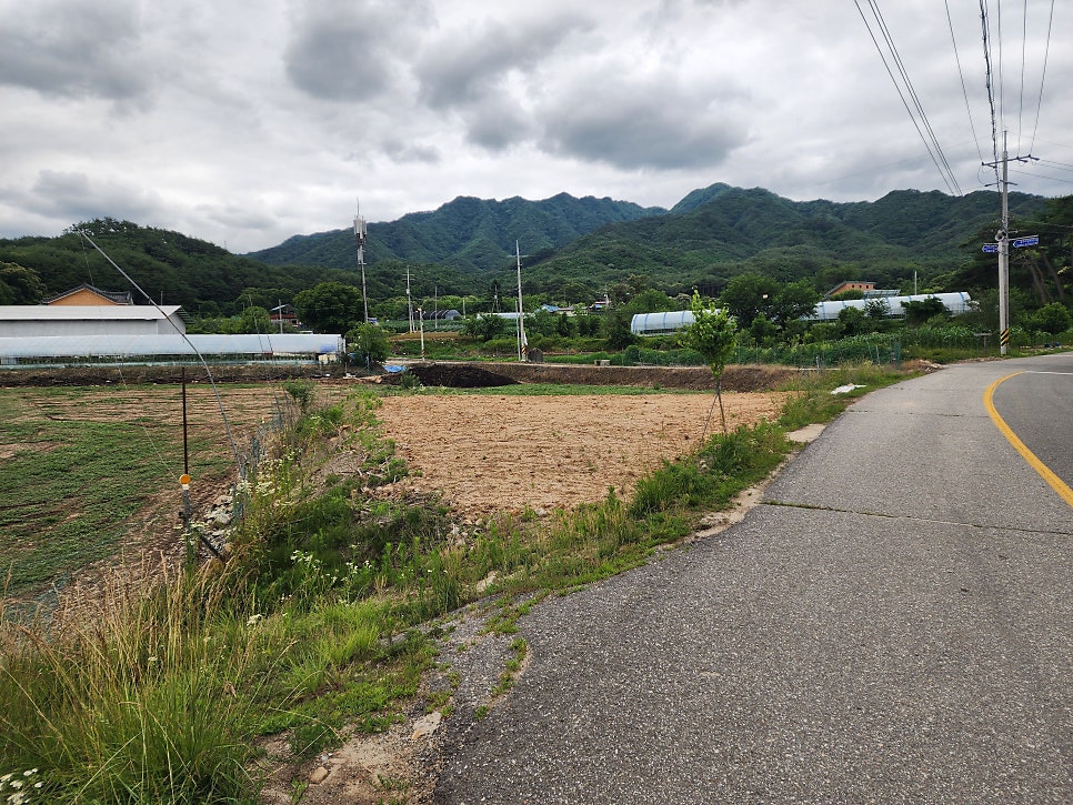 오음산 사진 2