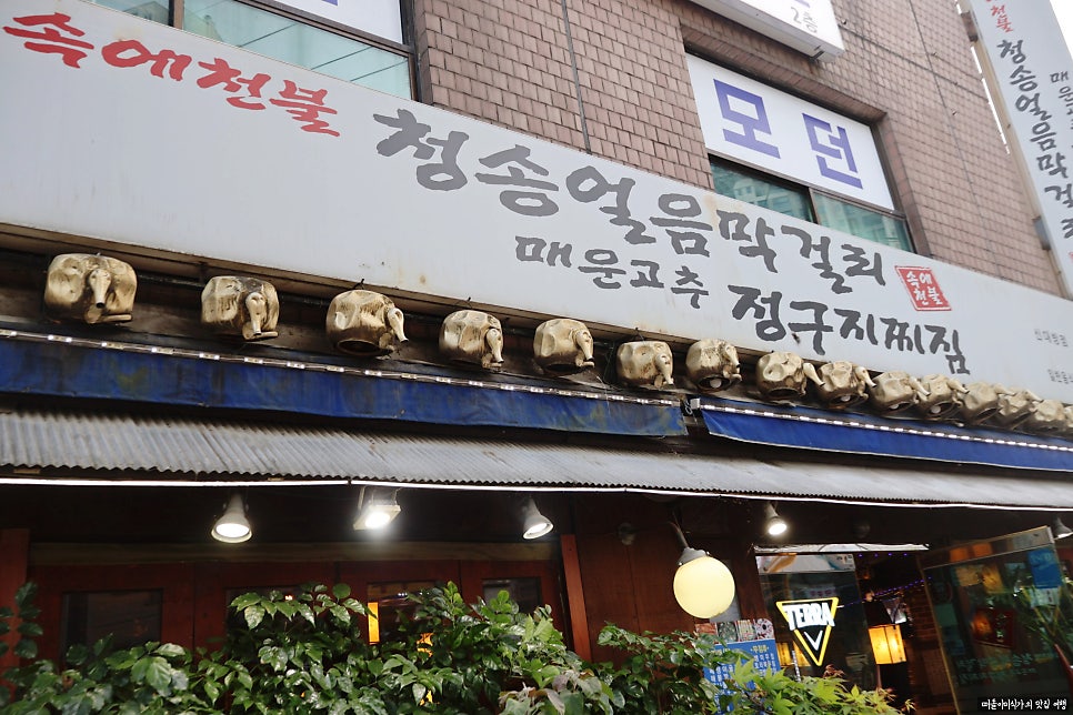 속에천불청송얼음막걸리 신대방점 사진 3