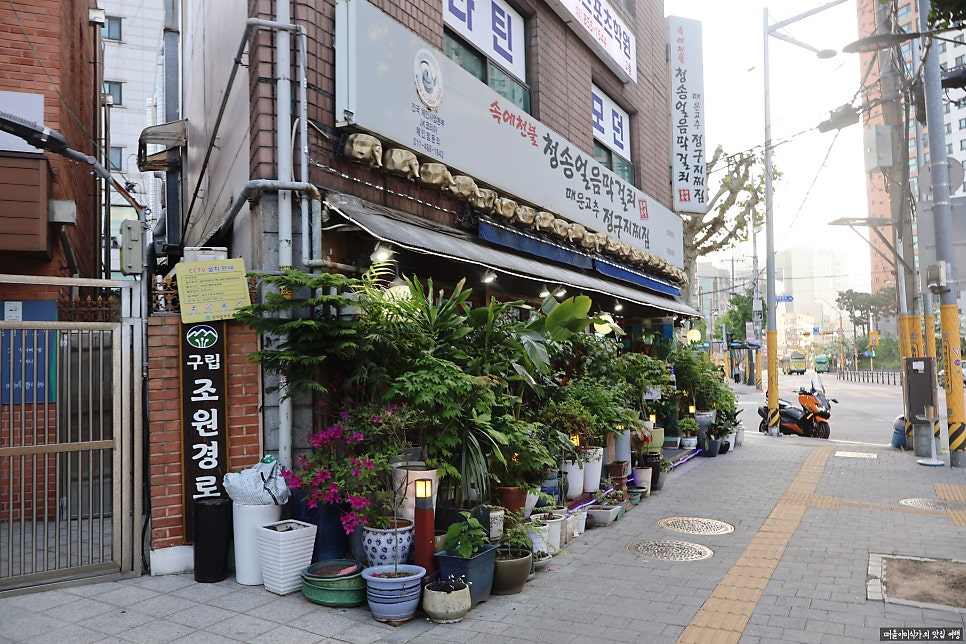 속에천불청송얼음막걸리 신대방점 사진 2