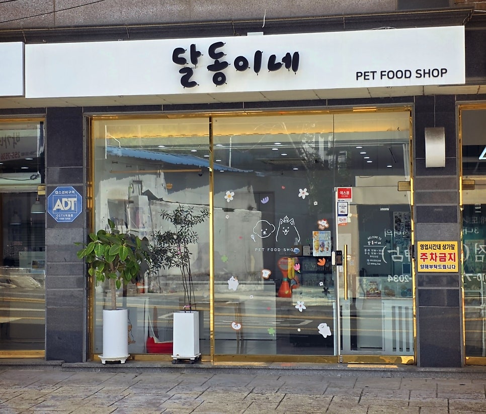 오드아이 사진 3