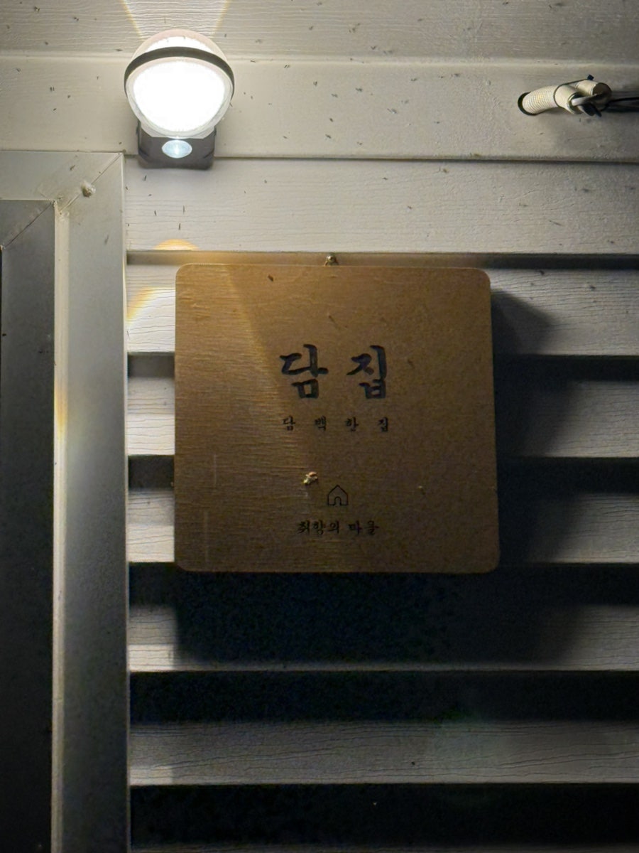 비바테 사진 2