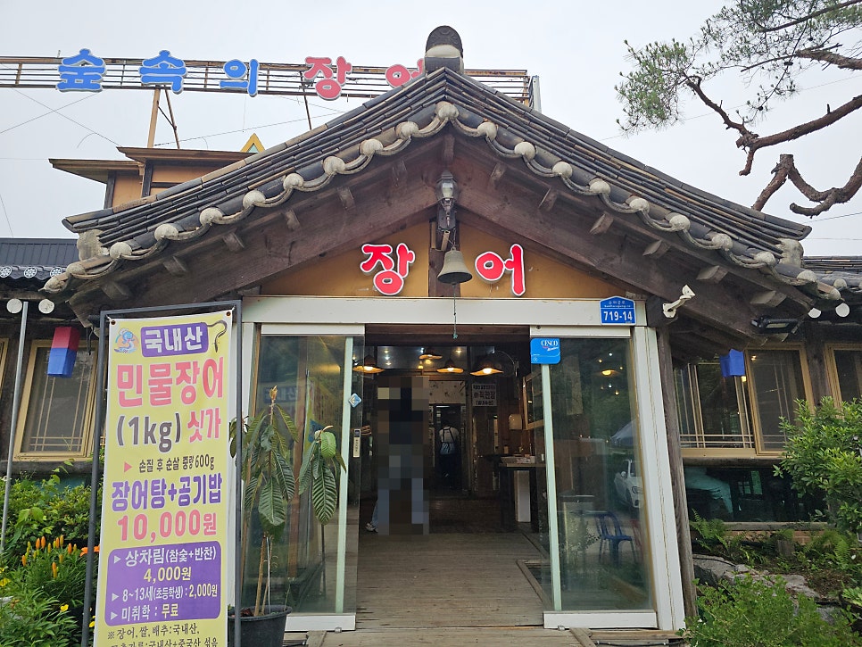 숲속의장어 사진 1