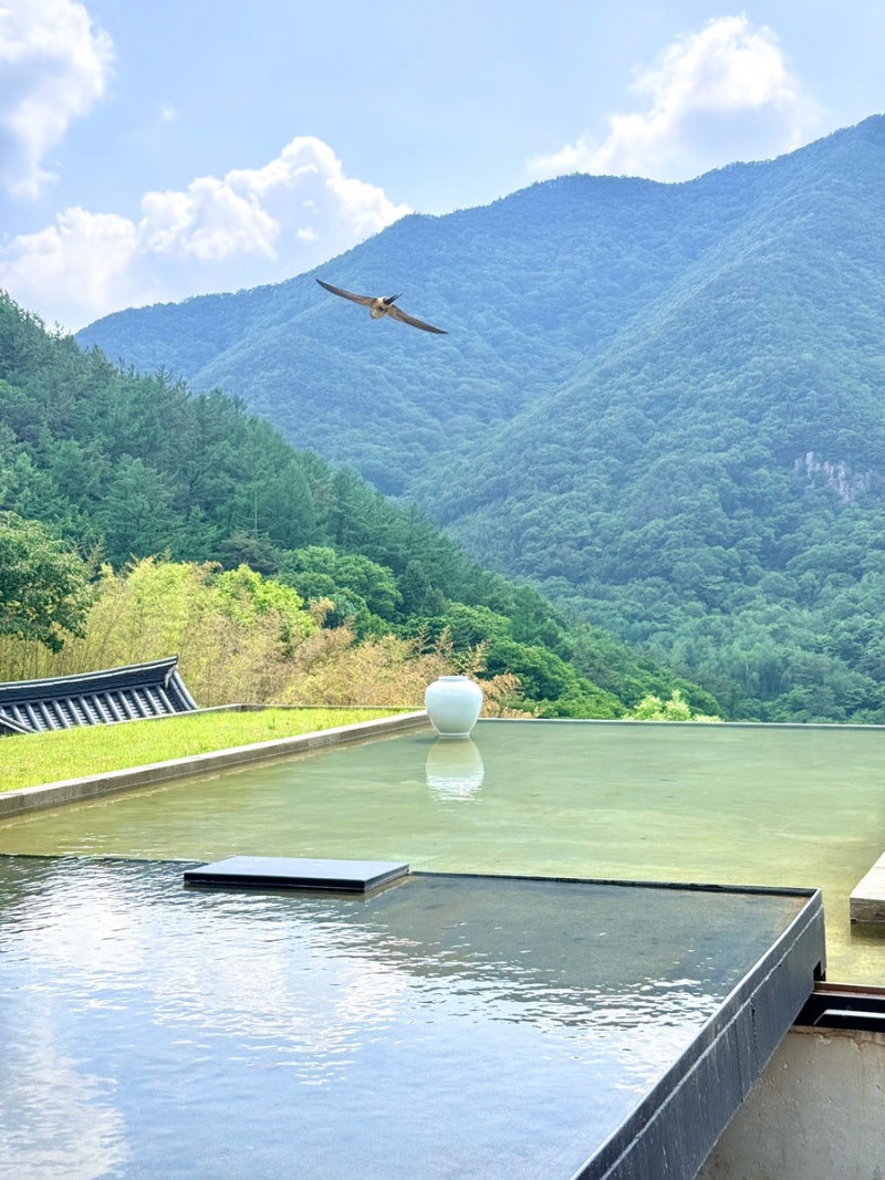 전주 근교 가볼만한곳 완주 아원고택 '21세기 대군부인' 촬영지