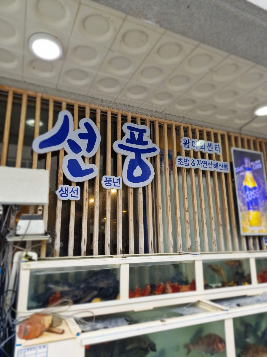 선풍 사진 1