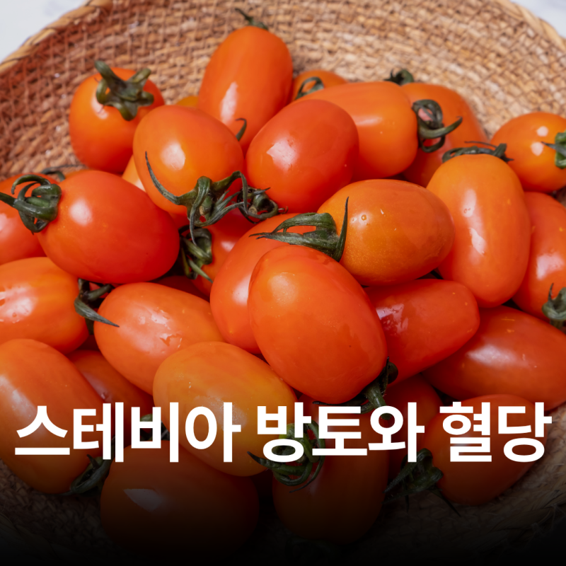 달아서 걱정된다면? 스테비아 방울토마토와 혈당의 진실