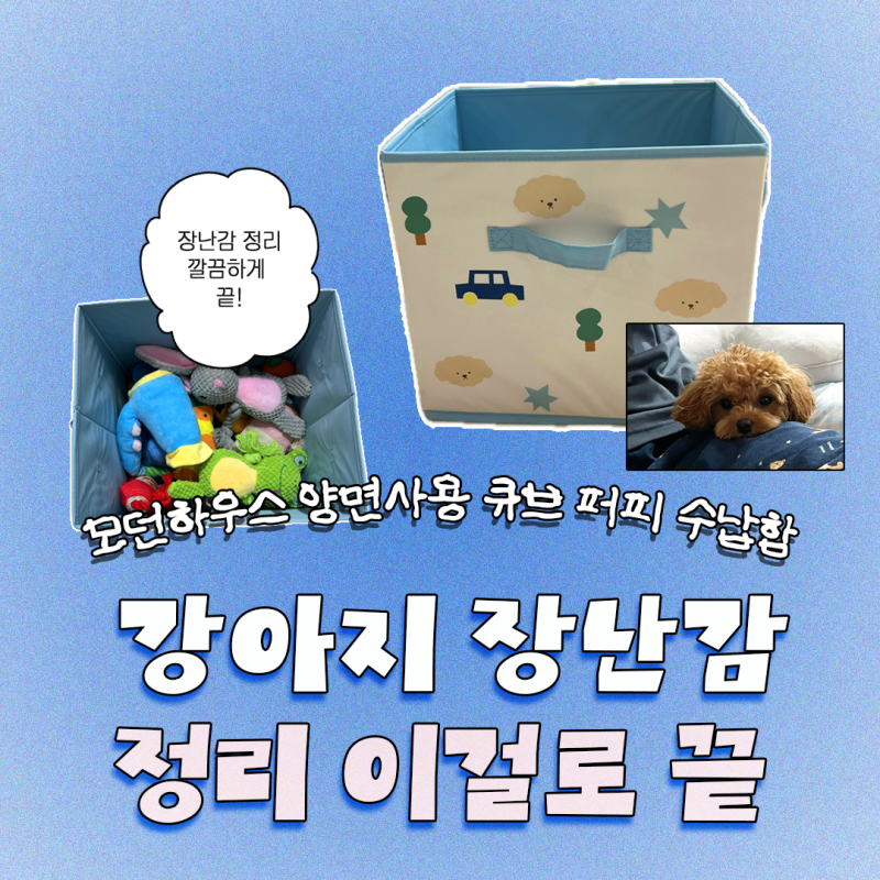 강아지 장난감 정리함 추천 모던하우스 먼지없이 쏙 양면사용 큐브 퍼피 수납함