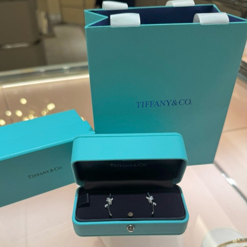 TIFFANY&CO. | 고윤정, 고현정 귀걸이 | 티파니 노트 이어링 구매 및 실사용 후기 | 명품 화이트골....
