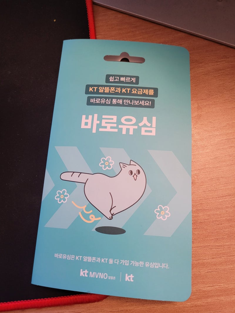 휴대폰 분실 후 진땀뺐던 유심교체 신청썰 feat.KT엠모바일