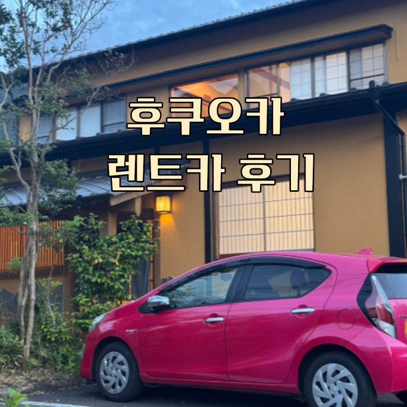 후쿠오카 여행 렌트카 후기(준비물, 보험, 주의사항, 국제운전면허증 발급)