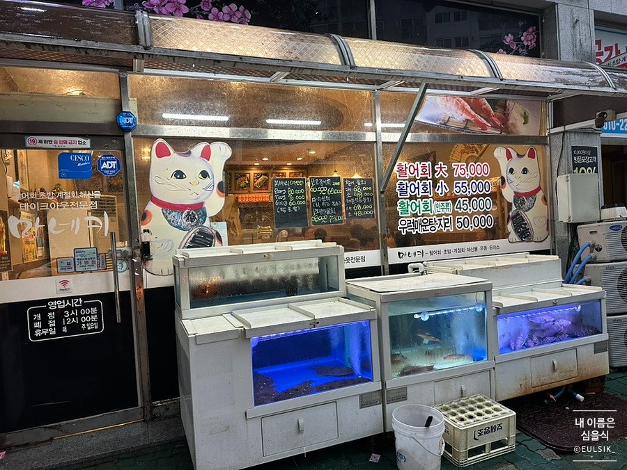 마네키 사진 2