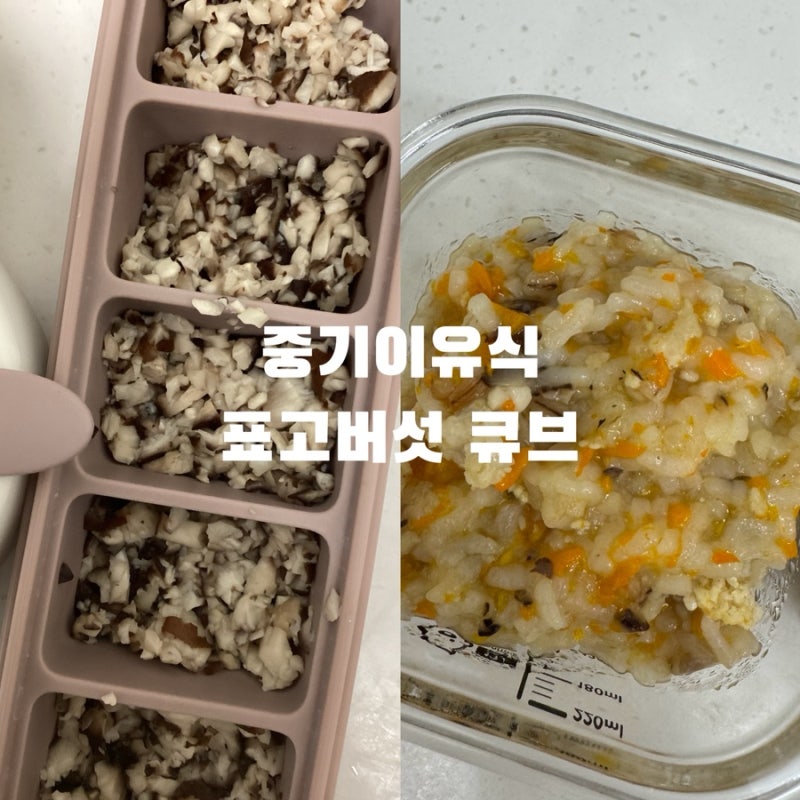 [중기이유식 레시피] 표고버섯 큐브 만들기 / 닭가슴살표고버섯당근죽(밥솥이유식)