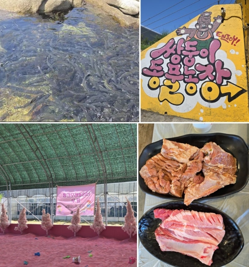 [아이랑-양양&강릉여행2] 양양 가볼만한곳: 휴휴암-강릉 가볼만한곳: 쌍둥이 동물농장-택지골....