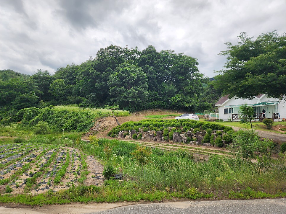 오음산 사진 5